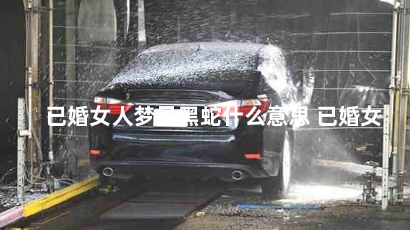 已婚女人梦见黑蛇什么意思 已婚女人梦见红色的蛇